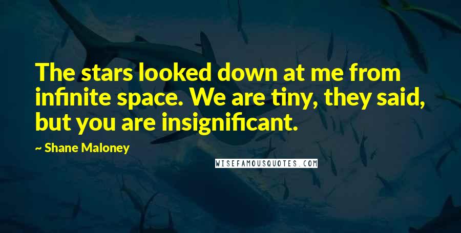 Shane Maloney Quotes: The stars looked down at me from infinite space. We are tiny, they said, but you are insignificant.