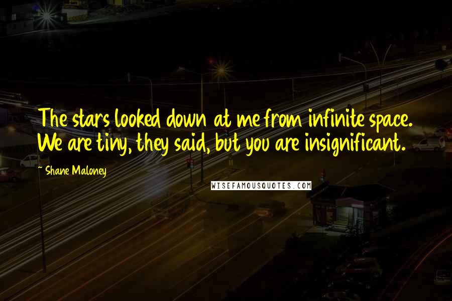 Shane Maloney Quotes: The stars looked down at me from infinite space. We are tiny, they said, but you are insignificant.