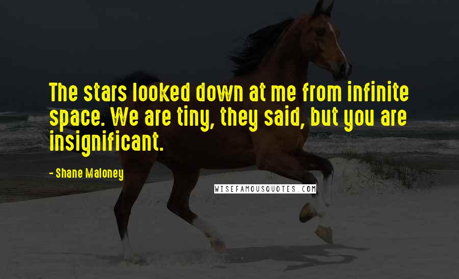 Shane Maloney Quotes: The stars looked down at me from infinite space. We are tiny, they said, but you are insignificant.