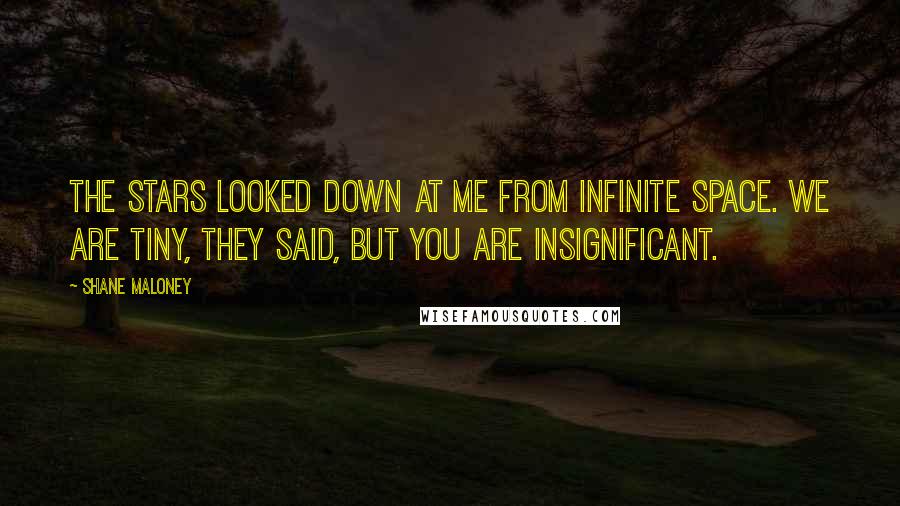 Shane Maloney Quotes: The stars looked down at me from infinite space. We are tiny, they said, but you are insignificant.