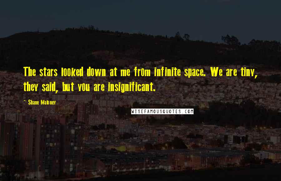 Shane Maloney Quotes: The stars looked down at me from infinite space. We are tiny, they said, but you are insignificant.