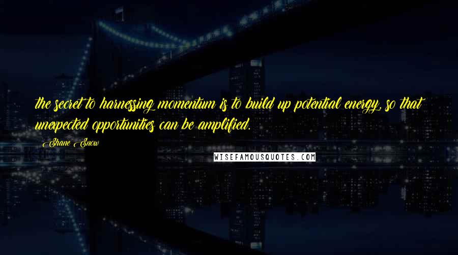 Shane Snow Quotes: the secret to harnessing momentum is to build up potential energy, so that unexpected opportunities can be amplified.