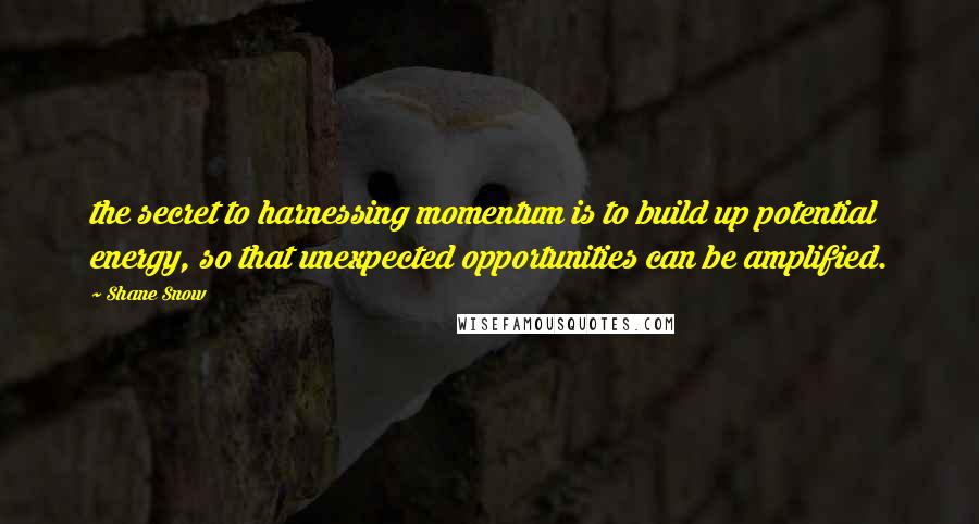 Shane Snow Quotes: the secret to harnessing momentum is to build up potential energy, so that unexpected opportunities can be amplified.