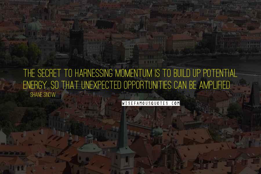 Shane Snow Quotes: the secret to harnessing momentum is to build up potential energy, so that unexpected opportunities can be amplified.