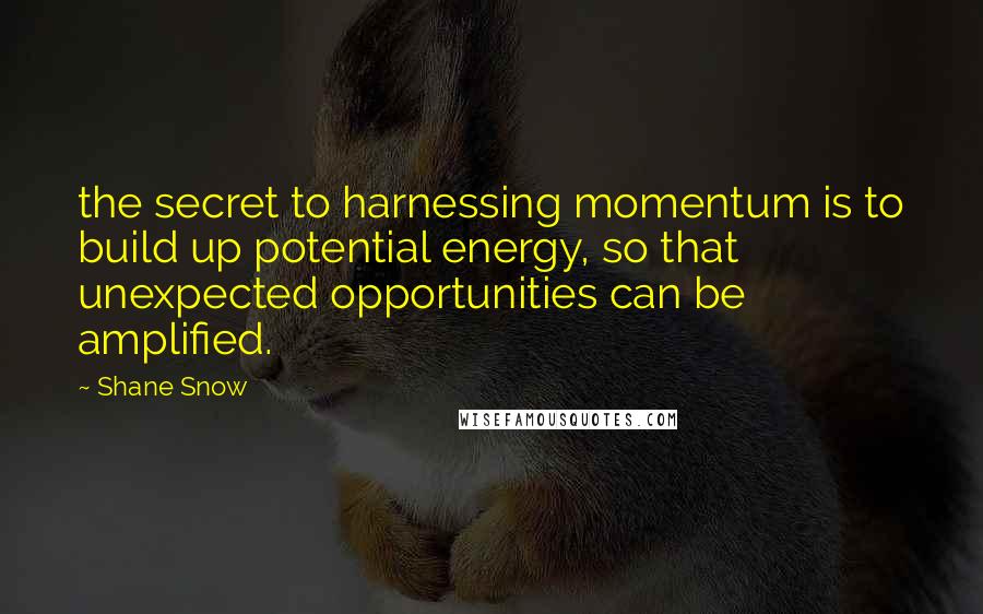 Shane Snow Quotes: the secret to harnessing momentum is to build up potential energy, so that unexpected opportunities can be amplified.