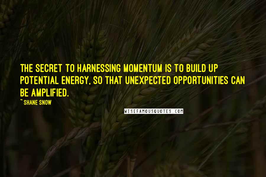 Shane Snow Quotes: the secret to harnessing momentum is to build up potential energy, so that unexpected opportunities can be amplified.