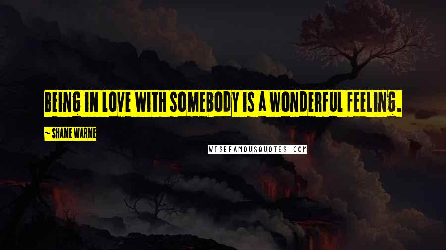 Shane Warne Quotes: Being in love with somebody is a wonderful feeling.