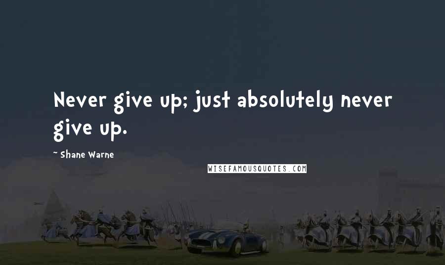 Shane Warne Quotes: Never give up; just absolutely never give up.