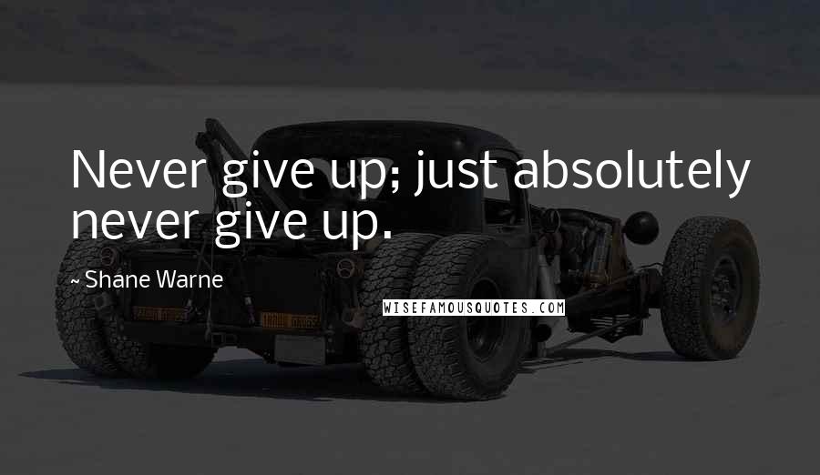 Shane Warne Quotes: Never give up; just absolutely never give up.