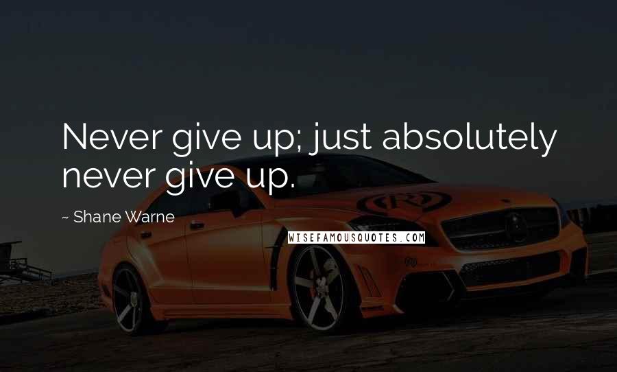 Shane Warne Quotes: Never give up; just absolutely never give up.