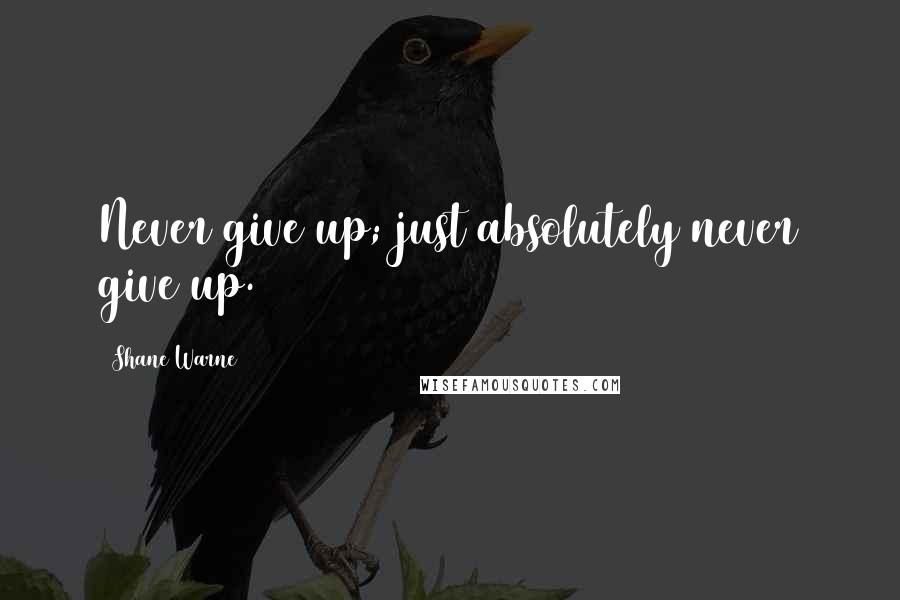 Shane Warne Quotes: Never give up; just absolutely never give up.