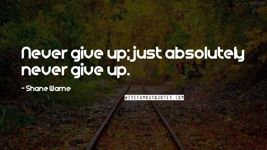 Shane Warne Quotes: Never give up; just absolutely never give up.