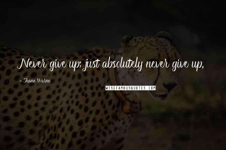 Shane Warne Quotes: Never give up; just absolutely never give up.