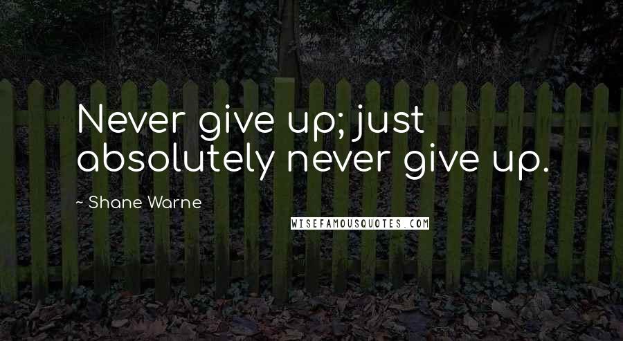 Shane Warne Quotes: Never give up; just absolutely never give up.