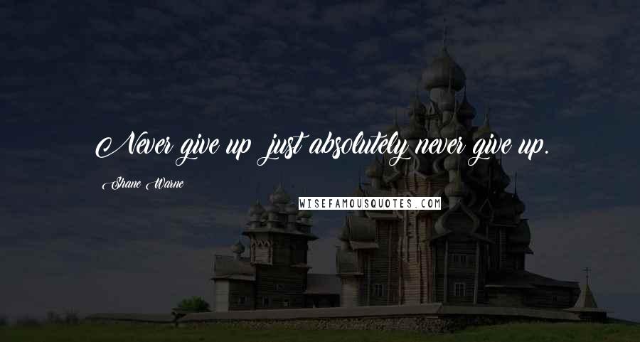 Shane Warne Quotes: Never give up; just absolutely never give up.