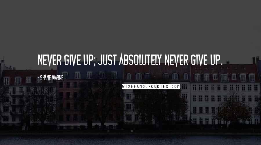 Shane Warne Quotes: Never give up; just absolutely never give up.