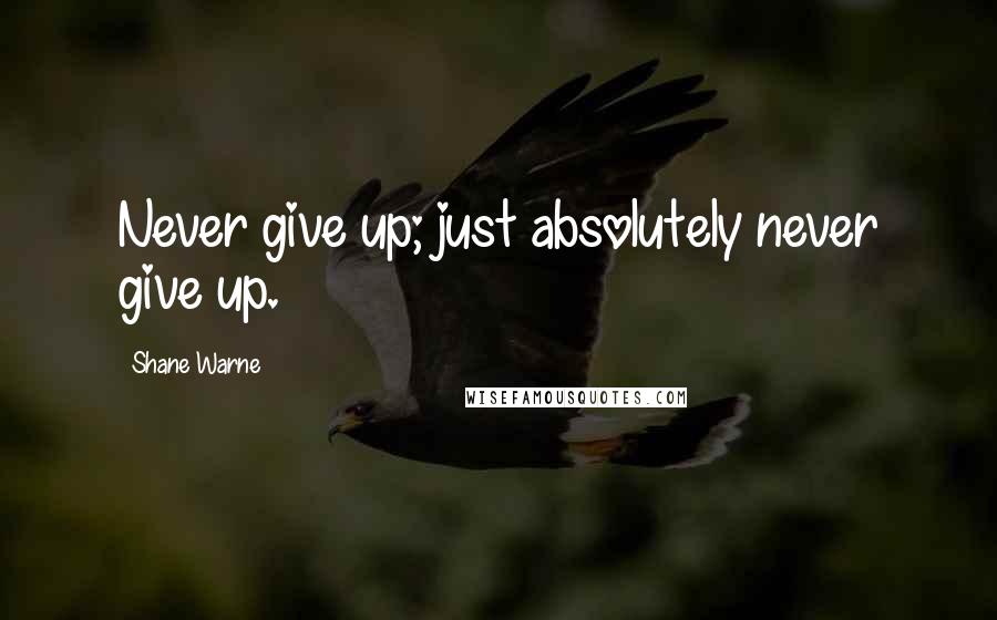 Shane Warne Quotes: Never give up; just absolutely never give up.