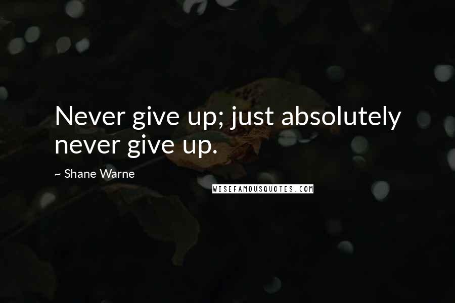 Shane Warne Quotes: Never give up; just absolutely never give up.
