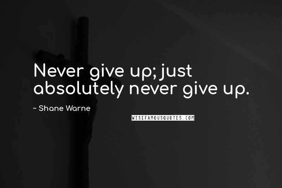 Shane Warne Quotes: Never give up; just absolutely never give up.