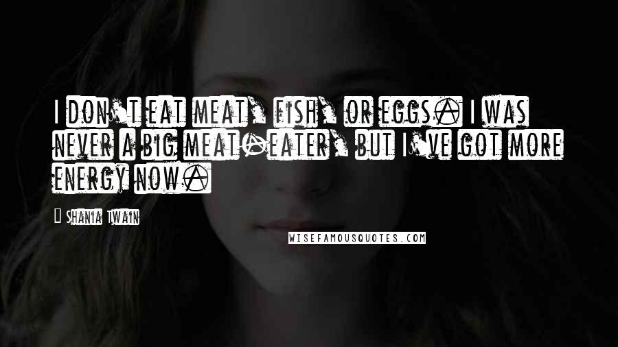 Shania Twain Quotes: I don't eat meat, fish, or eggs. I was never a big meat-eater, but I've got more energy now.