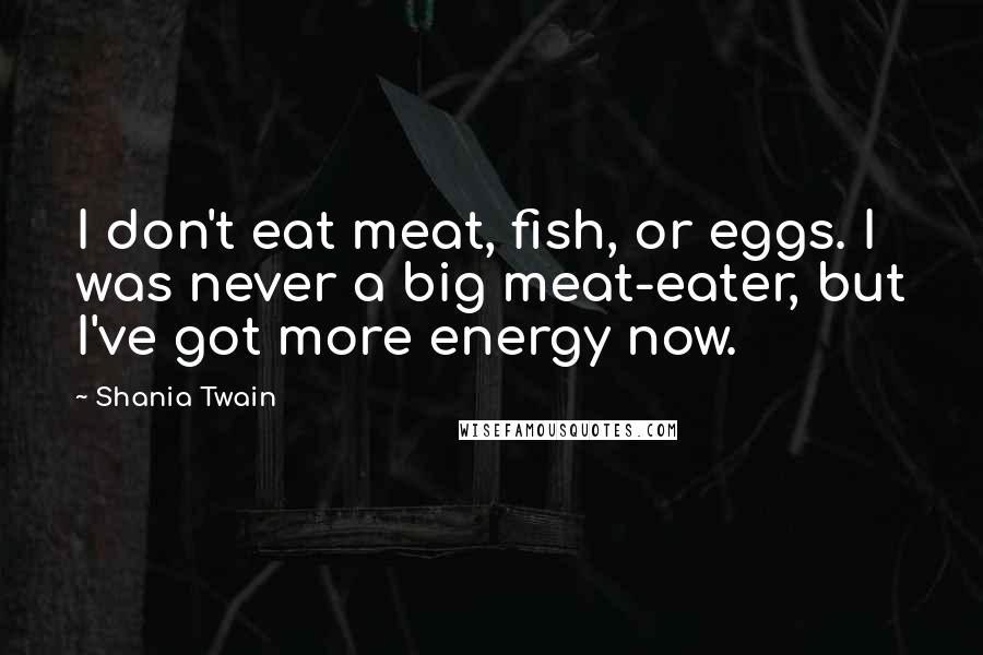 Shania Twain Quotes: I don't eat meat, fish, or eggs. I was never a big meat-eater, but I've got more energy now.