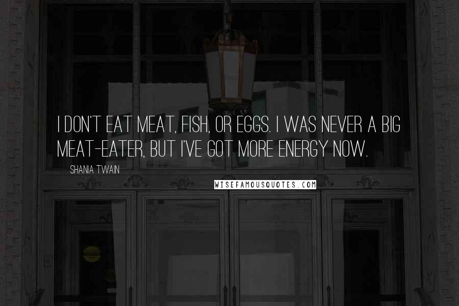 Shania Twain Quotes: I don't eat meat, fish, or eggs. I was never a big meat-eater, but I've got more energy now.