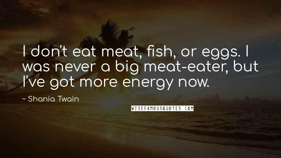 Shania Twain Quotes: I don't eat meat, fish, or eggs. I was never a big meat-eater, but I've got more energy now.