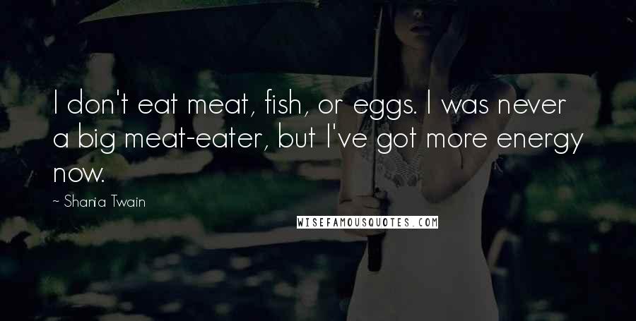 Shania Twain Quotes: I don't eat meat, fish, or eggs. I was never a big meat-eater, but I've got more energy now.