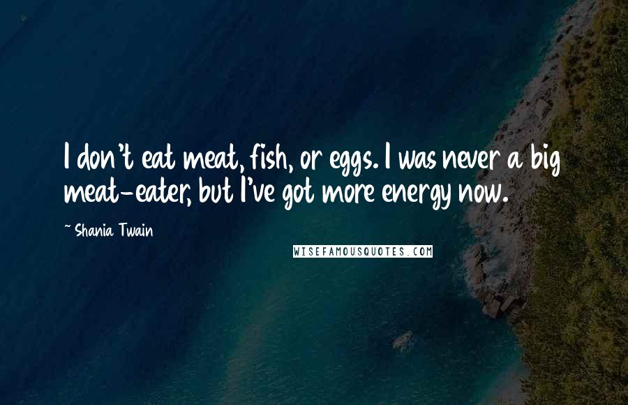 Shania Twain Quotes: I don't eat meat, fish, or eggs. I was never a big meat-eater, but I've got more energy now.