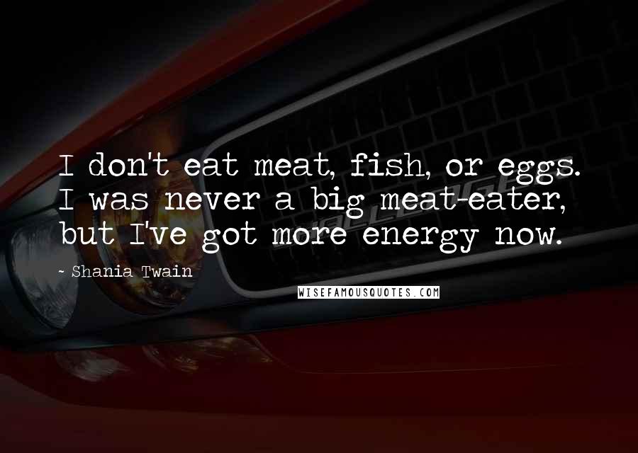 Shania Twain Quotes: I don't eat meat, fish, or eggs. I was never a big meat-eater, but I've got more energy now.