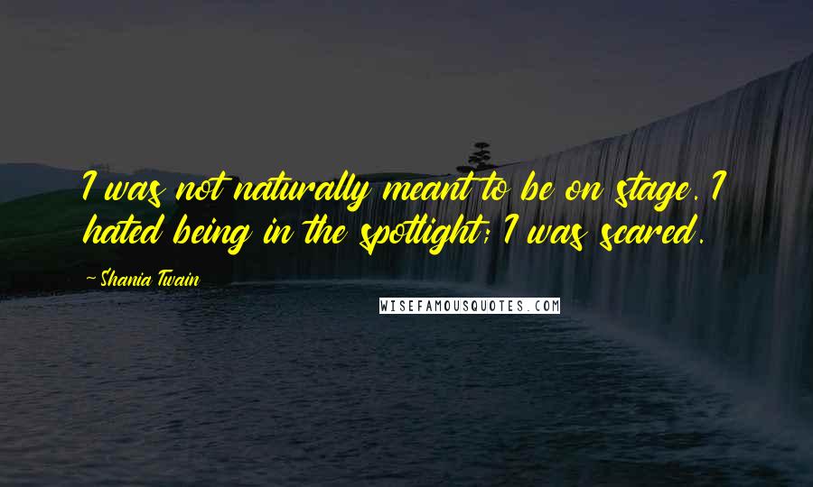 Shania Twain Quotes: I was not naturally meant to be on stage. I hated being in the spotlight; I was scared.