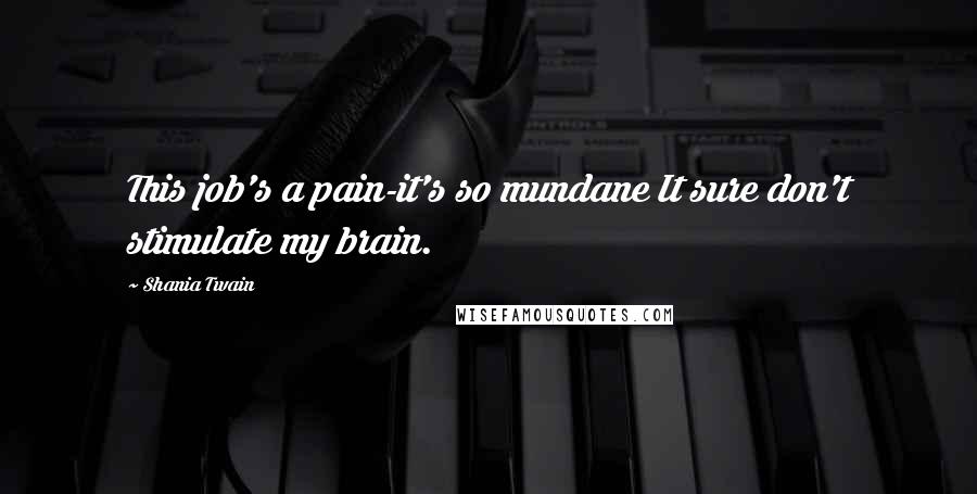 Shania Twain Quotes: This job's a pain-it's so mundane It sure don't stimulate my brain.