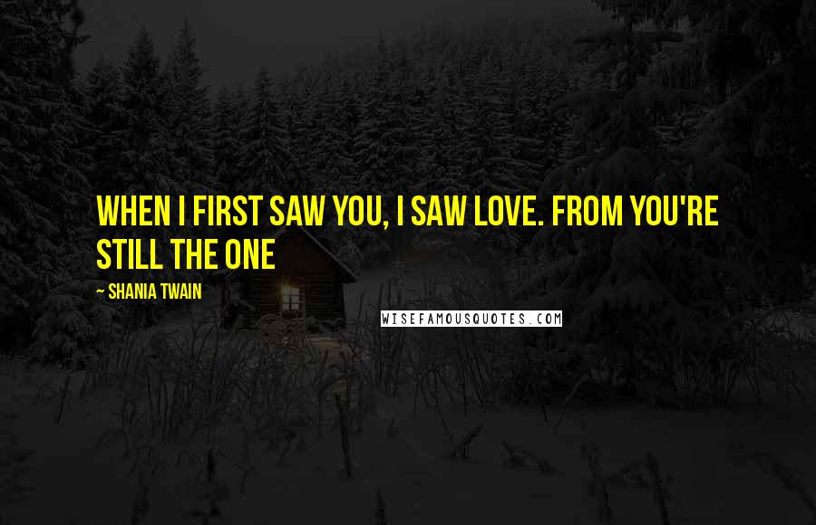 Shania Twain Quotes: When I first saw you, I saw love. from You're Still The One