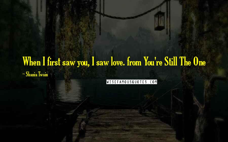 Shania Twain Quotes: When I first saw you, I saw love. from You're Still The One