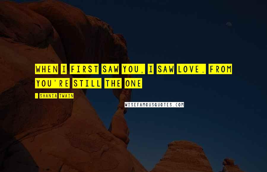 Shania Twain Quotes: When I first saw you, I saw love. from You're Still The One