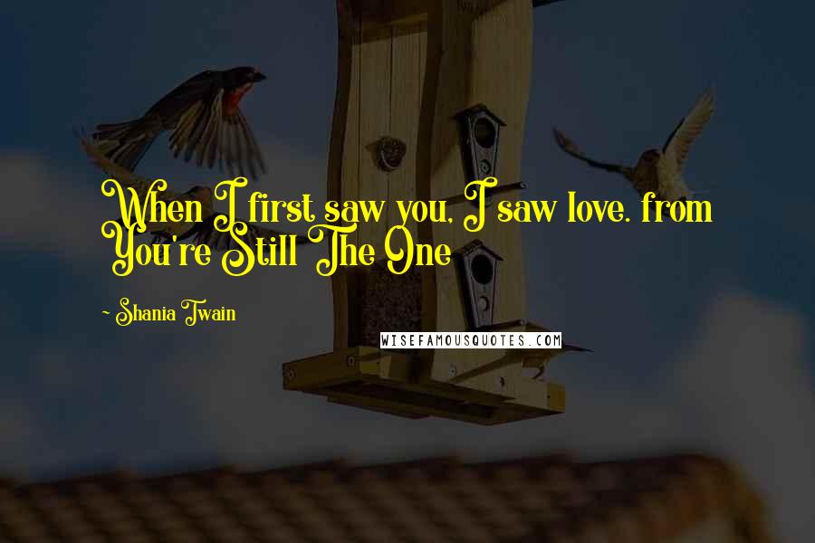 Shania Twain Quotes: When I first saw you, I saw love. from You're Still The One