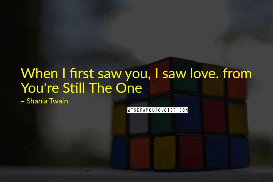 Shania Twain Quotes: When I first saw you, I saw love. from You're Still The One