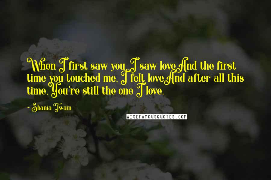 Shania Twain Quotes: When I first saw you, I saw loveAnd the first time you touched me, I felt loveAnd after all this time,You're still the one I love.