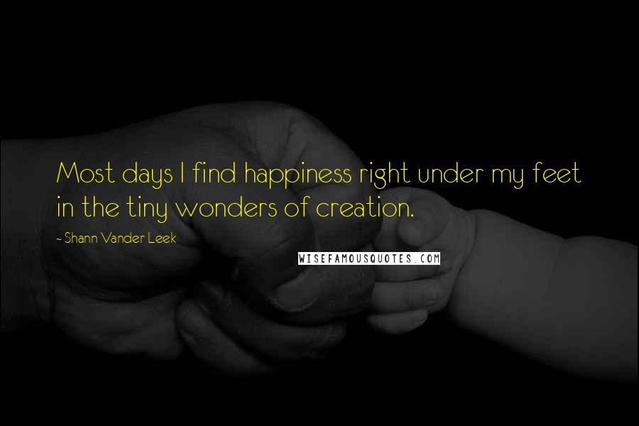 Shann Vander Leek Quotes: Most days I find happiness right under my feet in the tiny wonders of creation.