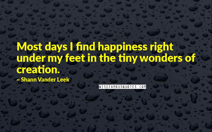Shann Vander Leek Quotes: Most days I find happiness right under my feet in the tiny wonders of creation.