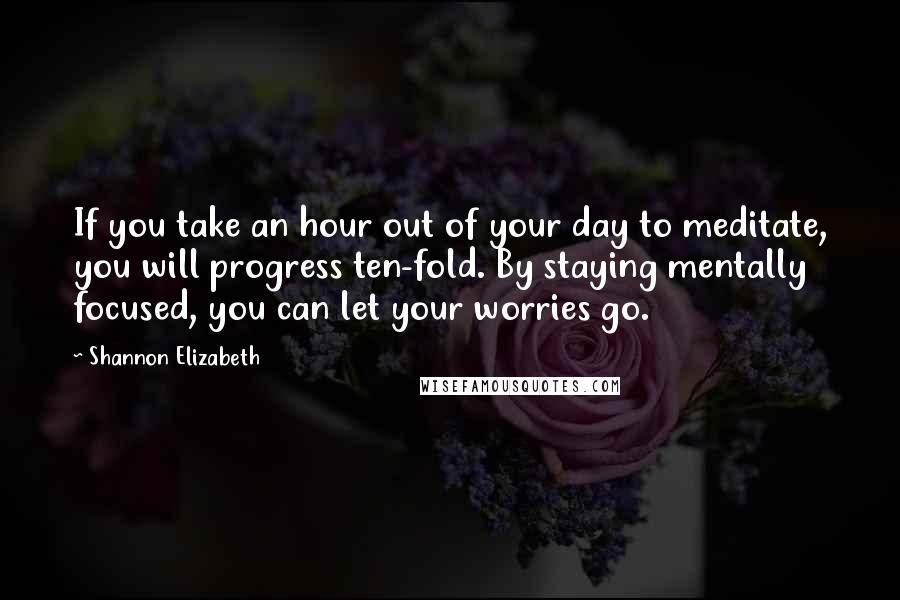 Shannon Elizabeth Quotes: If you take an hour out of your day to meditate, you will progress ten-fold. By staying mentally focused, you can let your worries go.