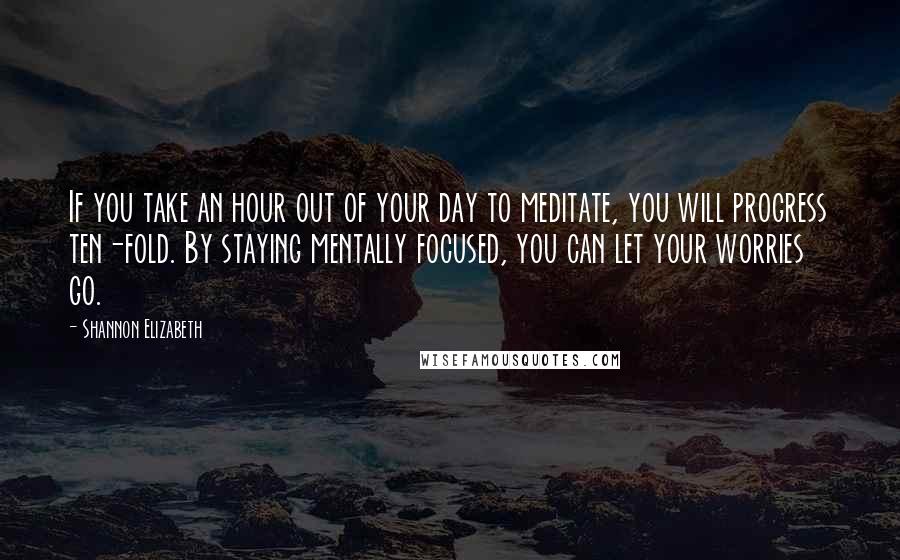 Shannon Elizabeth Quotes: If you take an hour out of your day to meditate, you will progress ten-fold. By staying mentally focused, you can let your worries go.