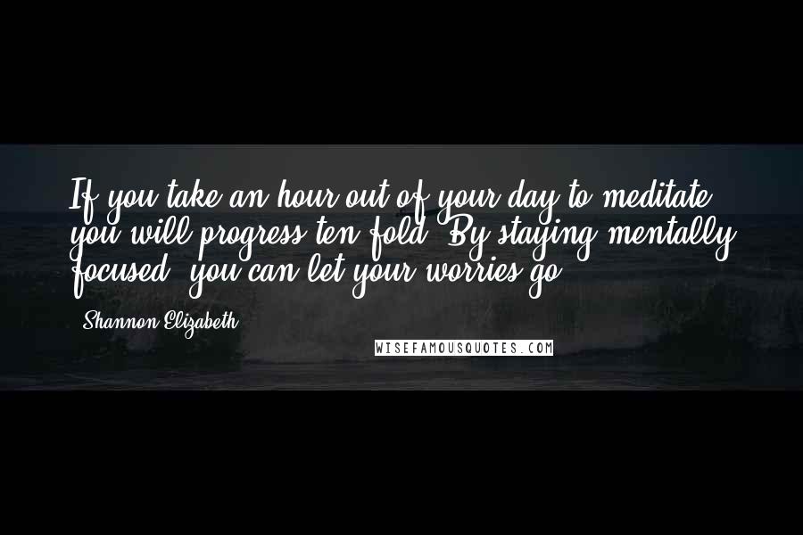 Shannon Elizabeth Quotes: If you take an hour out of your day to meditate, you will progress ten-fold. By staying mentally focused, you can let your worries go.