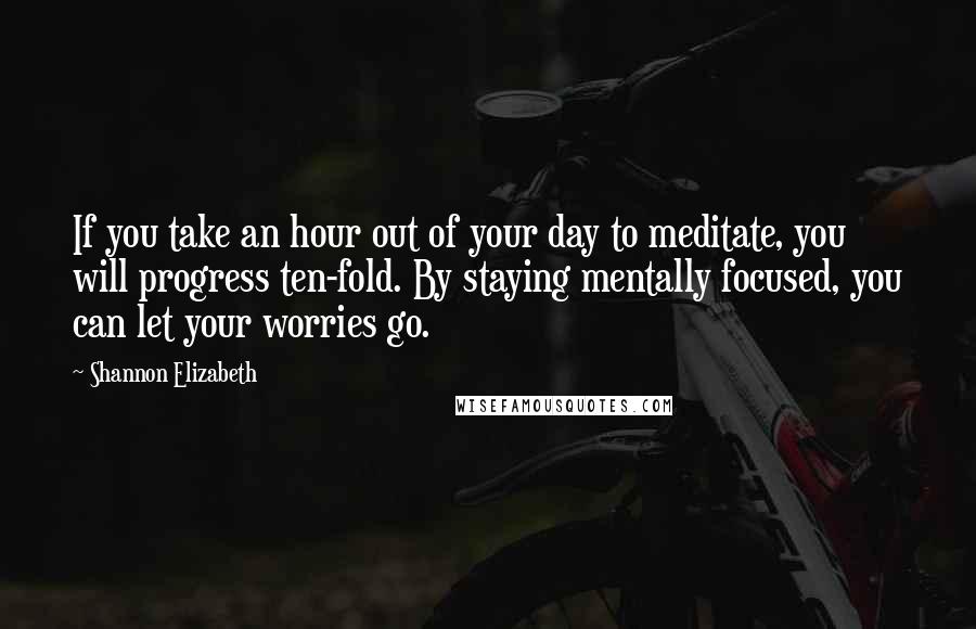 Shannon Elizabeth Quotes: If you take an hour out of your day to meditate, you will progress ten-fold. By staying mentally focused, you can let your worries go.