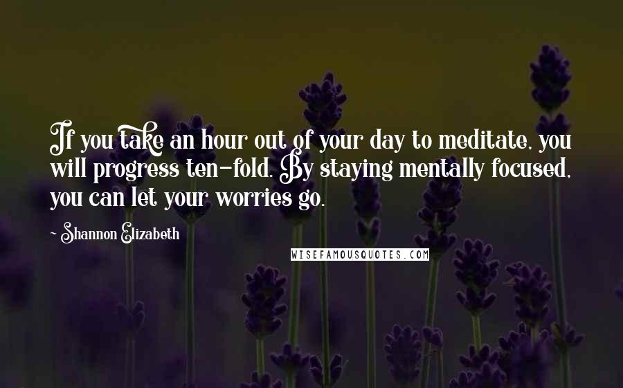 Shannon Elizabeth Quotes: If you take an hour out of your day to meditate, you will progress ten-fold. By staying mentally focused, you can let your worries go.