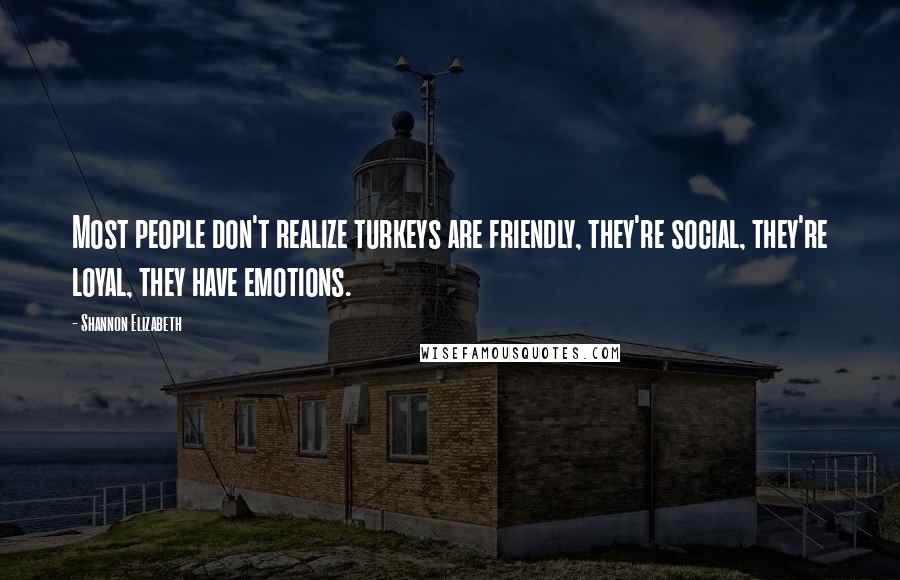Shannon Elizabeth Quotes: Most people don't realize turkeys are friendly, they're social, they're loyal, they have emotions.