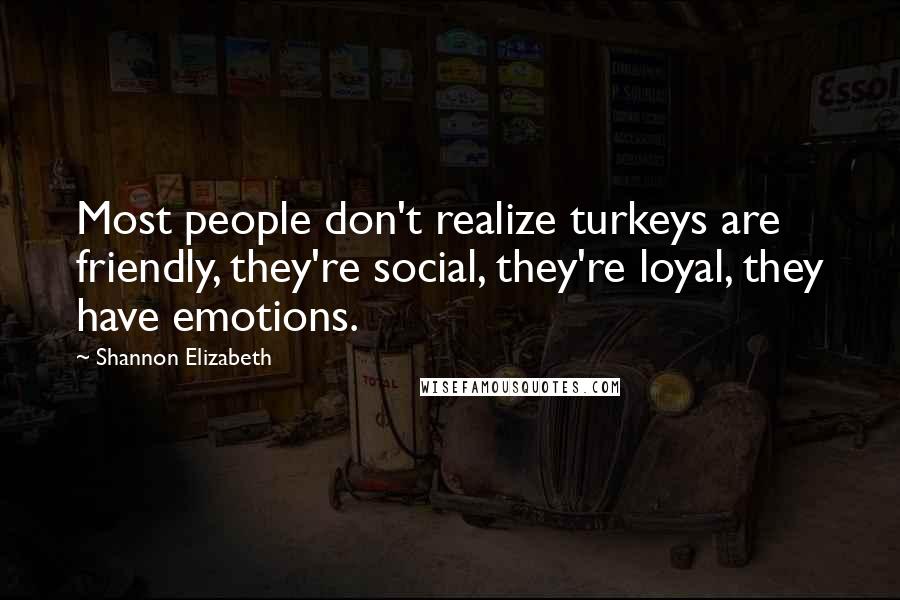 Shannon Elizabeth Quotes: Most people don't realize turkeys are friendly, they're social, they're loyal, they have emotions.