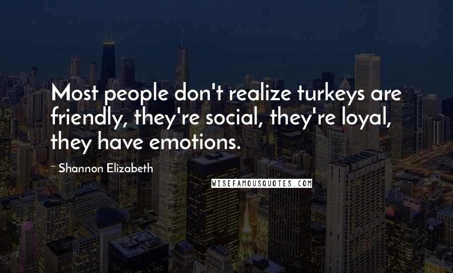 Shannon Elizabeth Quotes: Most people don't realize turkeys are friendly, they're social, they're loyal, they have emotions.