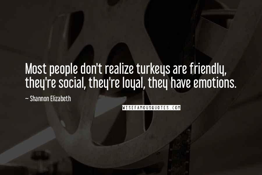 Shannon Elizabeth Quotes: Most people don't realize turkeys are friendly, they're social, they're loyal, they have emotions.