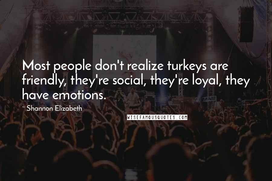 Shannon Elizabeth Quotes: Most people don't realize turkeys are friendly, they're social, they're loyal, they have emotions.